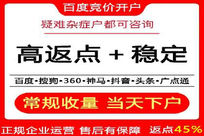 揭秘百度竞价广告：实战案例分析及优化策略
